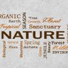 ⁦שטיח ויניל דגם NATURE⁩ – תמונה ⁦2⁩